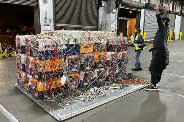 собак хотели пустить на мясо и съесть