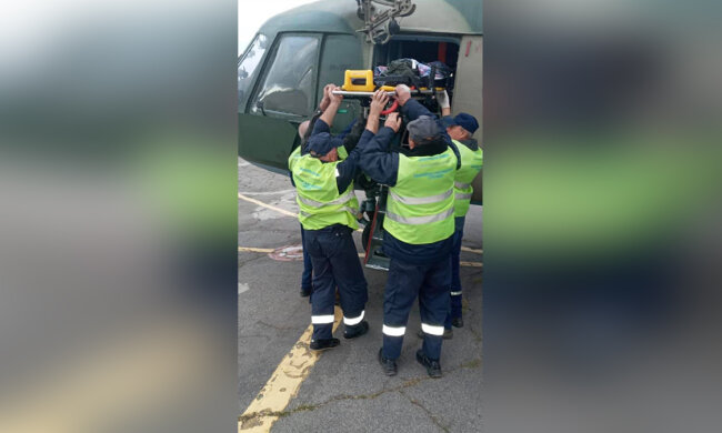 Собака відкусив геніталії двухрічному хлопчику
