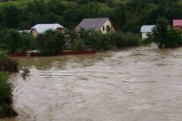 Наводнение на Прикарпатье: Кабмин заявил, что вырубка леса ни к чему