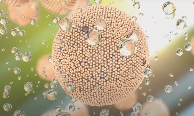 Клітини: скрін з відео