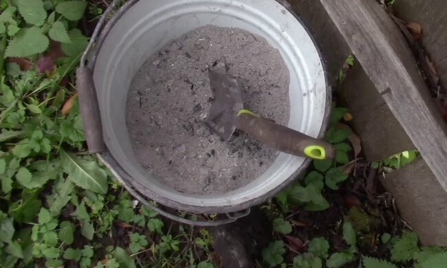 Зола, подкормка, кадр из видео