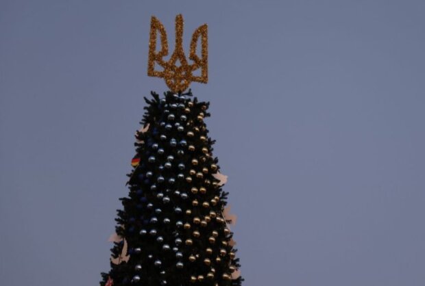 Ялинка на Софіївській площі, фото із соцмереж