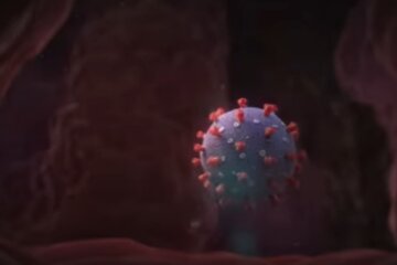Несподіване відкриття: знайдено засіб, що нейтралізує коронавірус за тридцять секунд