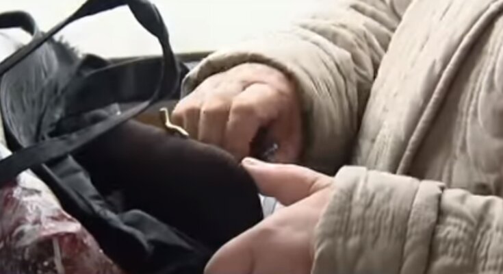 Пенсионеры