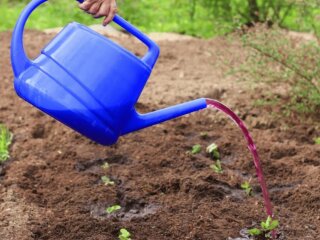 Марганцівка, город, кадр з відео