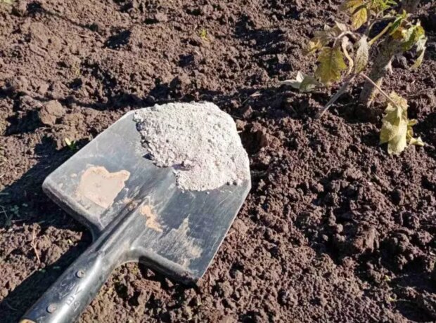 Огород, удобрение, изображение из свободных источников