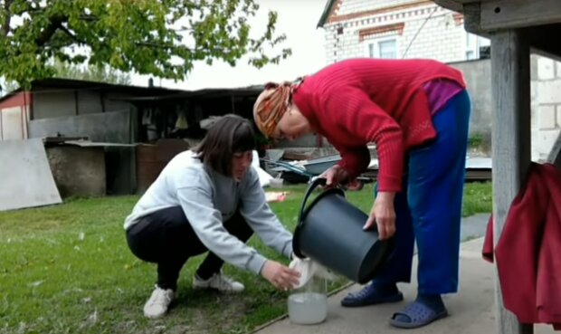 высадка рассады