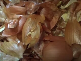 Цибулеве лушпиння