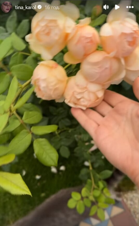 Скрин публикации Тины Кароль