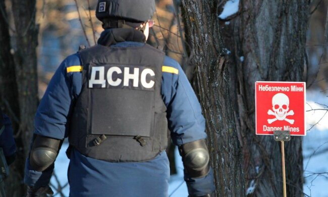 ДСНС, фото: Уніан