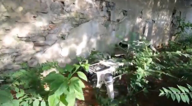 Бойові пси-роботи США