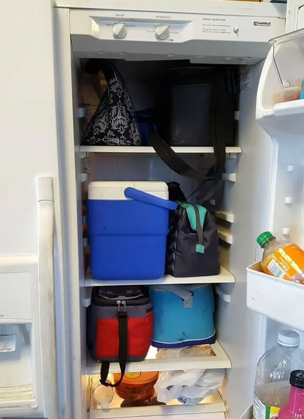 холодильник