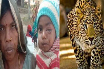 Жінка гналася за леопардом, який викрав її сина