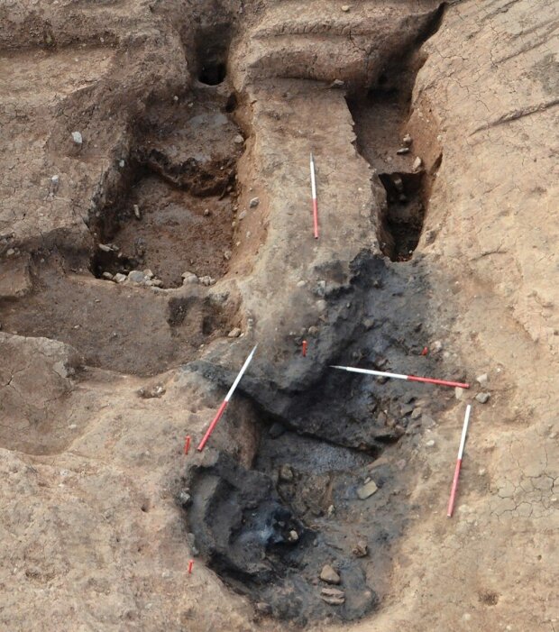 Археологічні розкопки