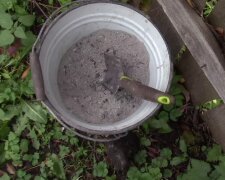 Зола, подкормка, кадр из видео