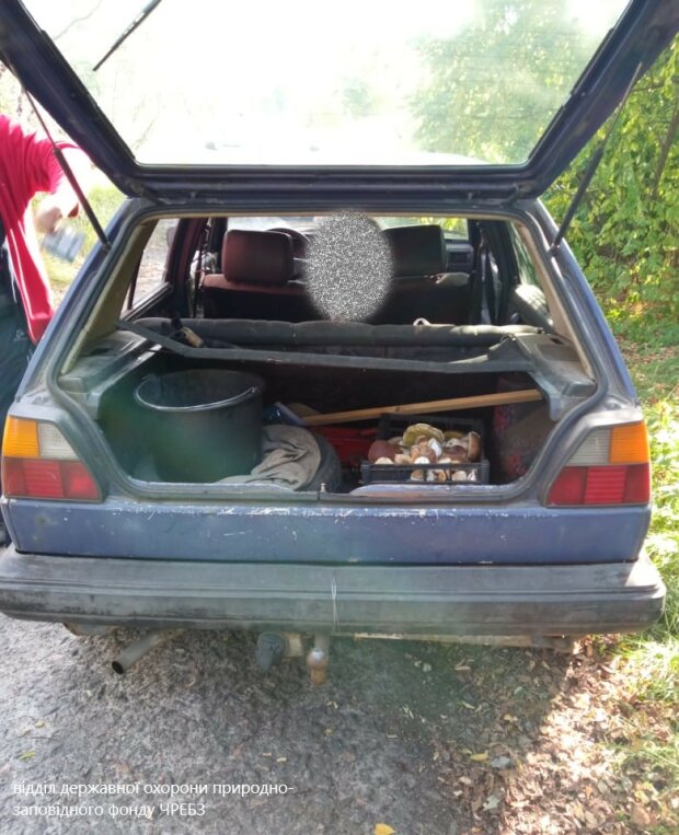 В межах Чорнобильського заповідника спіймали любителів радіоактивних грибочків