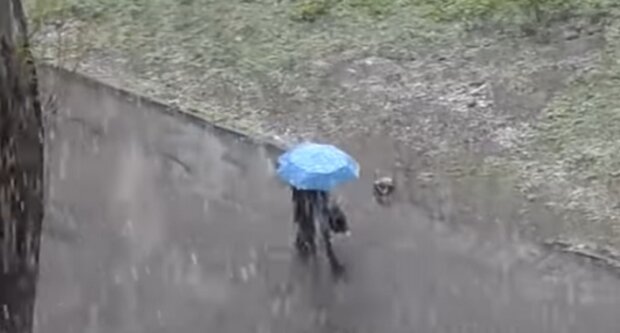 Погода