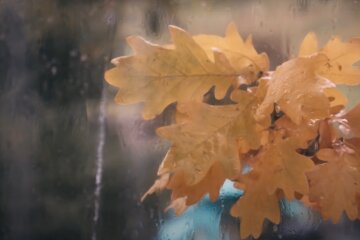 Погода