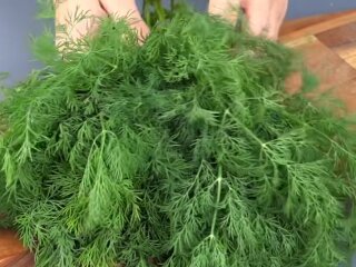 Укроп, кадр из видео