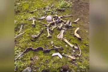 Блогер обнаружил в Чернобыле кучу костей