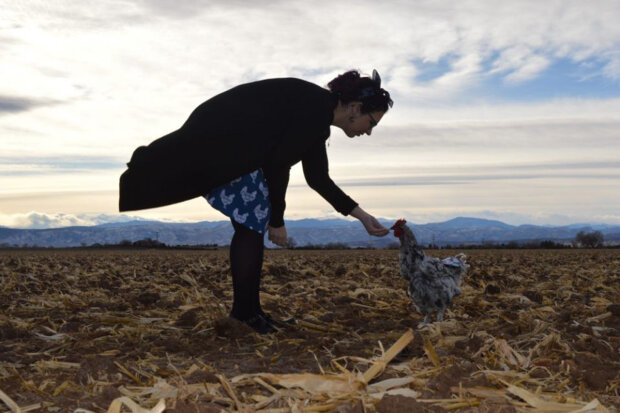 Американка заплатила 10 тысяч долларов за операцию курицы