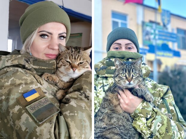 українські прикордонники з котиками