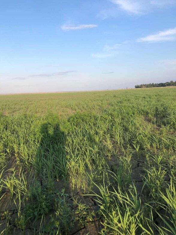 Город на Каховському водосховищі