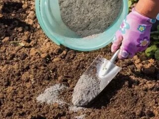 Город, зображення з вільних джерел