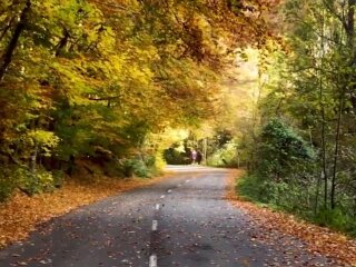 Погода, осінь