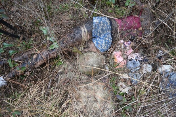 поліцейські виявили секс-ляльку в парку