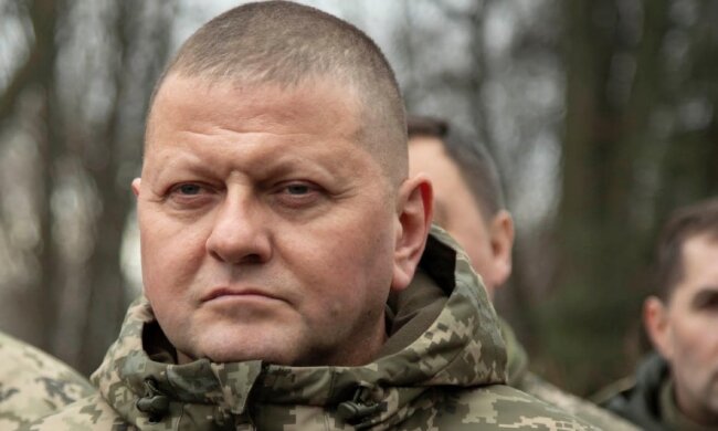 Валерий Залужный