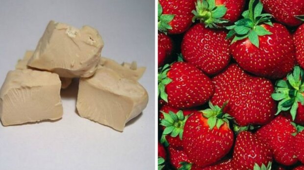 Подкормка клубники, изображение из свободных источников