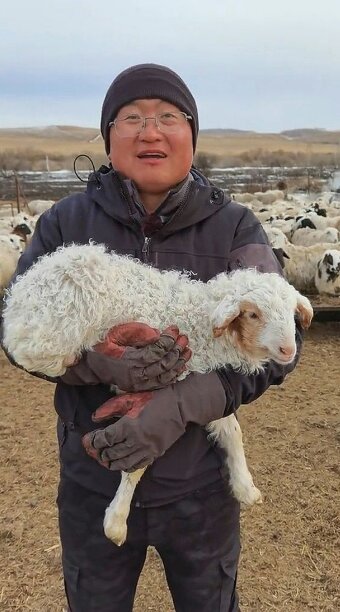 Ягненок-мутант