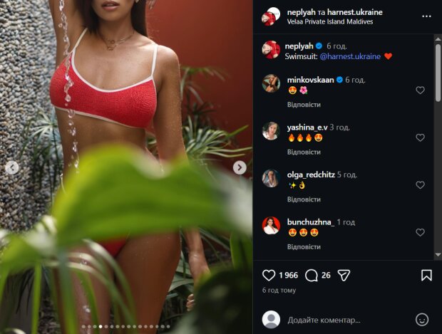 Скрін публікації Анни Неплях