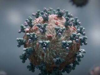 Коронавирус. Фото: скриншот видео