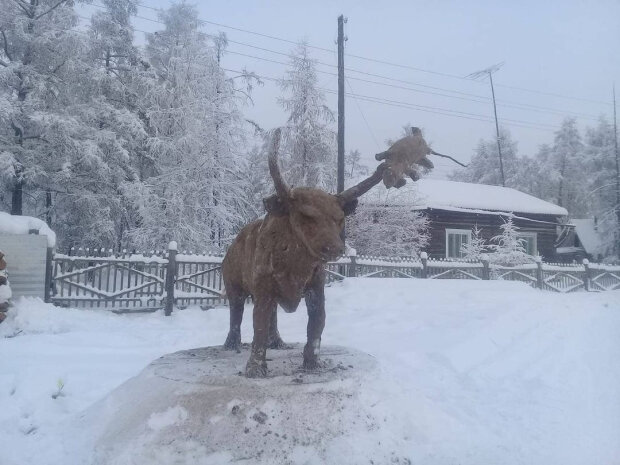 бик з гною