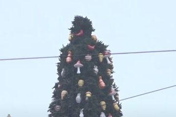 шляпа на елке в Киеве