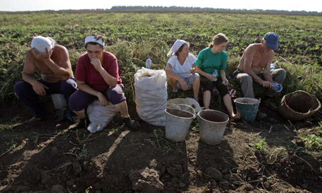 земля, селяни, город, село