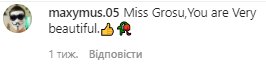 Скриншот к коментариям со страницы Алины Гросу в Instagram