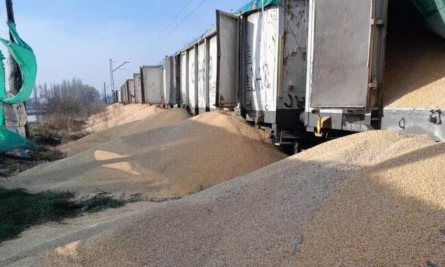 Поляки висипали українське зерно, фото із соцмереж