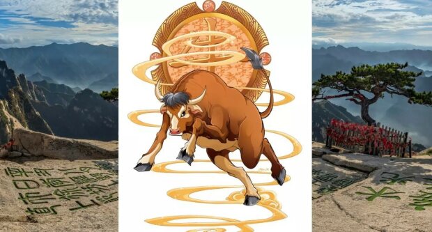 китайський знак зодіаку Бик