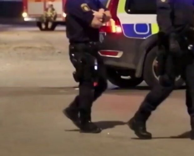 шведская полиция