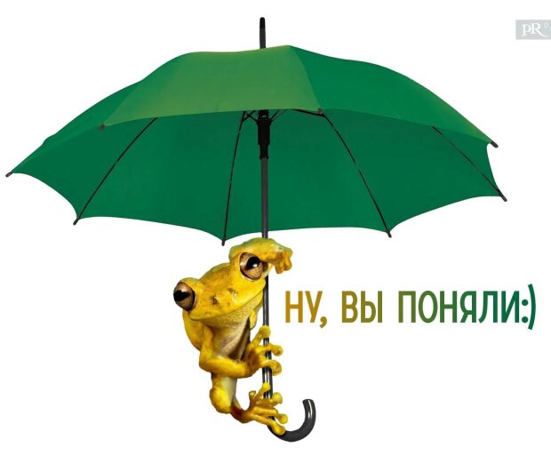 Жовтий плащ нардепа нагадує жовту жабку