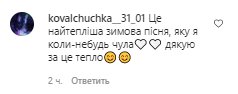 Коментарі зі сторінки Світлани Тарабарової в Instagram