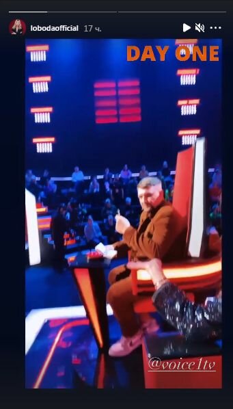 Сториз Светланы Лободы