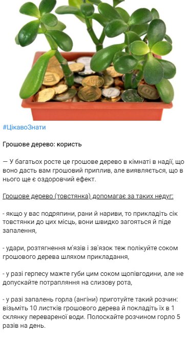 Скрин пубилкации