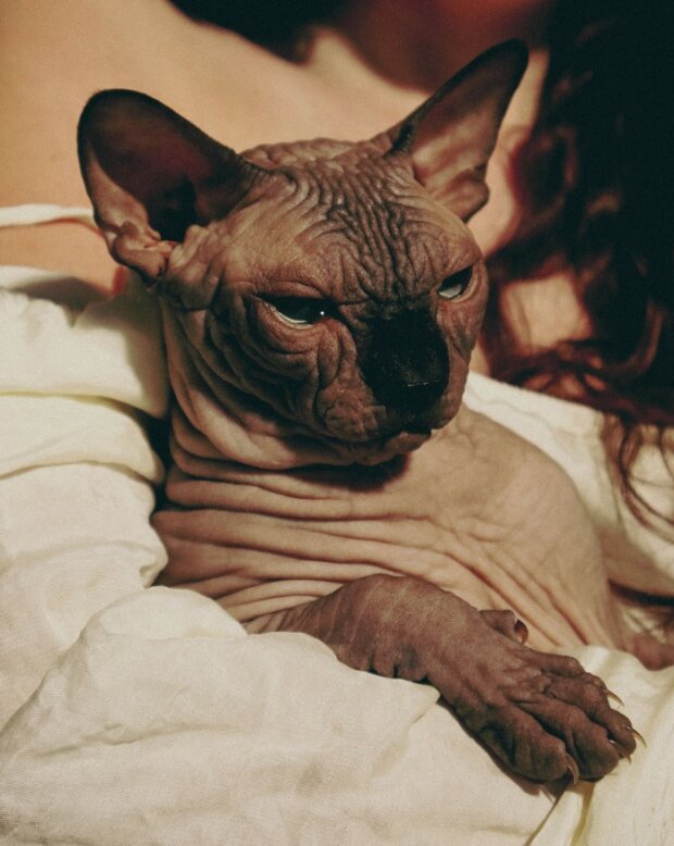 Скрин публикации Маши Поляковой