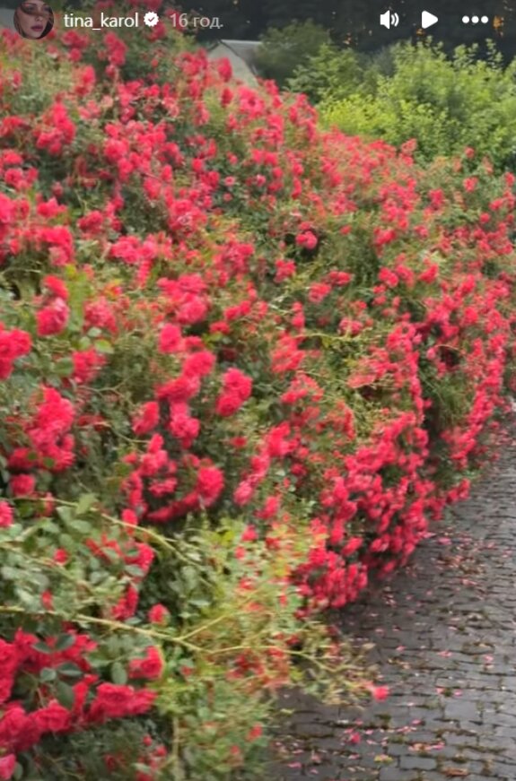 Скрин публикации Тины Кароль