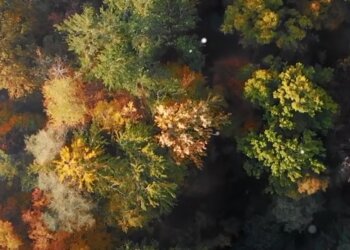 Погода, осінь, бабине літо