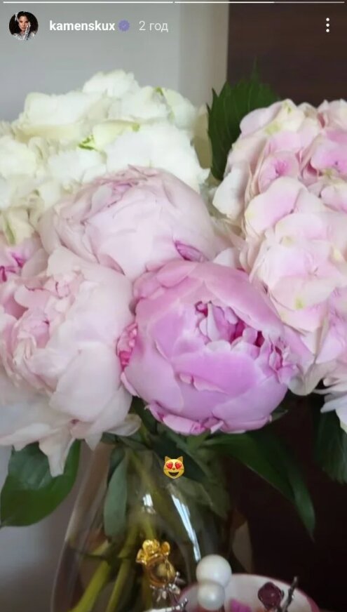 Скрин публикации Насти Каменских